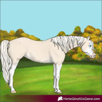 Horse Color:Cremello Splash  and Cremello Splash 