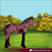 Horse Color:Void Platinum Sable Champagne Tobiano 