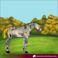 Horse Color:Gray Void Painted White Spotted Brown Ice Onyx 