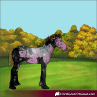 Horse Color:Void Painted Watercolor Bay Tobiano 