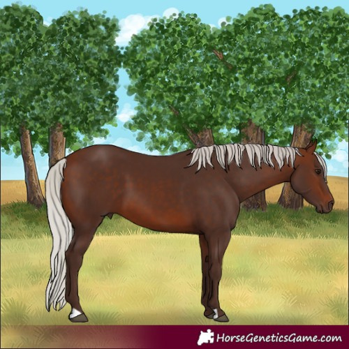 Horse Color:Silver Brown 