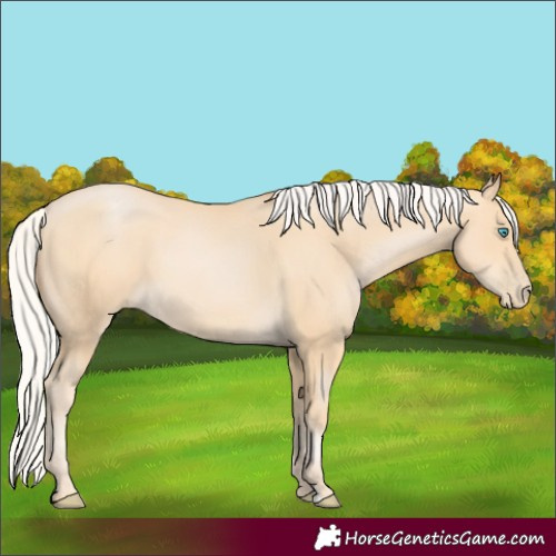 Horse Color:Silver Buckskin Pearl 