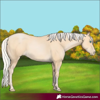 Horse Color:Silver Buckskin Pearl 