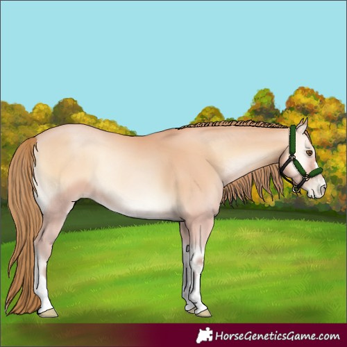 Horse Color:Bay Pearl Onyx Mushroom 