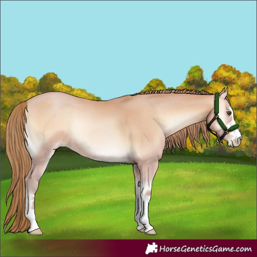 Horse Color:Bay Pearl Onyx Mushroom 
