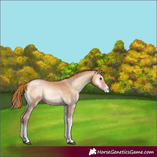 Horse Color:Bay Pearl Onyx Mushroom