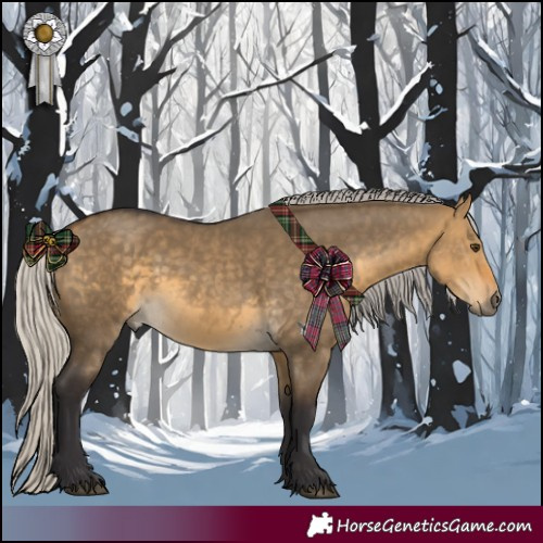 Horse Color:Silver Buckskin Dun 