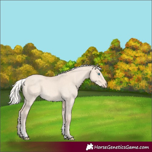 Horse Color:Silver Perlino Dun Tobiano 