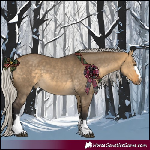Horse Color:Silver Buckskin Dun 