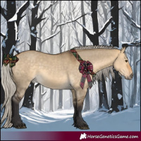 Horse Color:Silver Buckskin Dun 