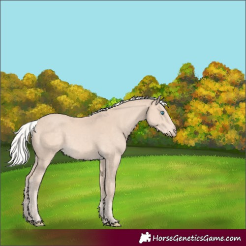 Horse Color:Silver Perlino 