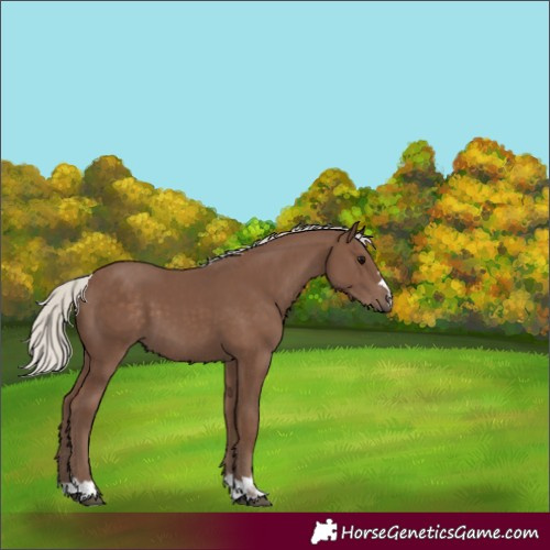 Horse Color:Silver Black 
