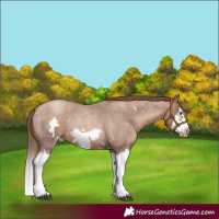 Horse Color:Brown Roan Pearl Splash Frame