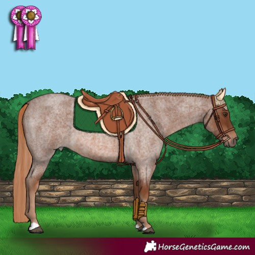 Horse Color:Red Roan 