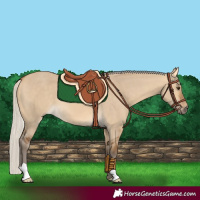 Horse Color:Silver Buckskin Dun 