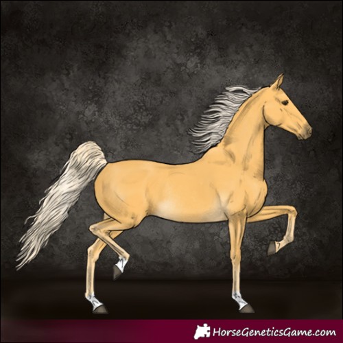 Horse Color:Palomino Rabicano 