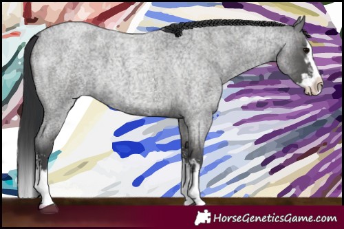 Horse Color:Blue Roan Sabino Splash  and Blue Roan Sabino Splash 