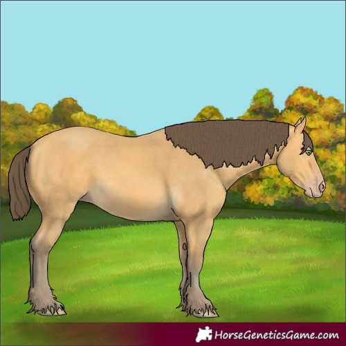 Horse Color:Amber Cream Champagne Rabicano