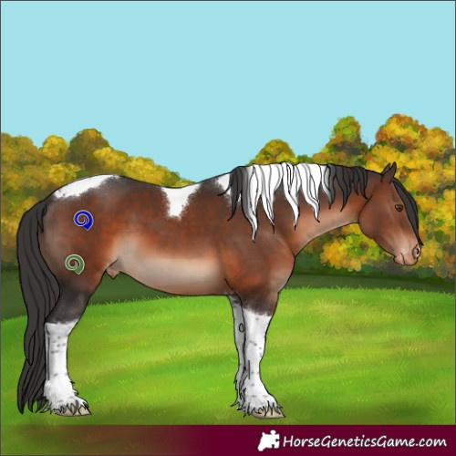 Horse Color:Brown Tobiano Varnish