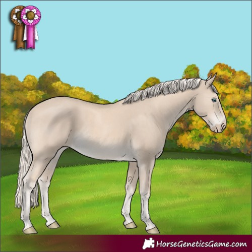Horse Color:Cremello Rabicano 