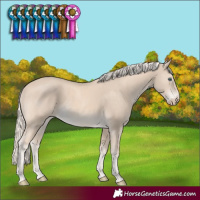 Horse Color:Cremello Rabicano