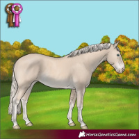Horse Color:Cremello Rabicano