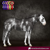 Horse Color:Smoky Black Sabino
