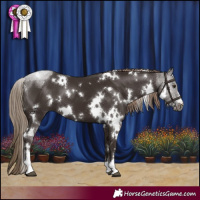 Horse Color:White Spotted Liver Chestnut