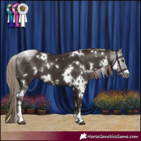 Horse Color:White Spotted Liver Chestnut 