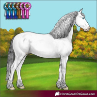 Horse Color:Black Sabino Splash Varnish Rabicano 