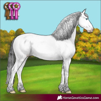 Horse Color:Black Sabino Splash Appaloosa Rabicano 