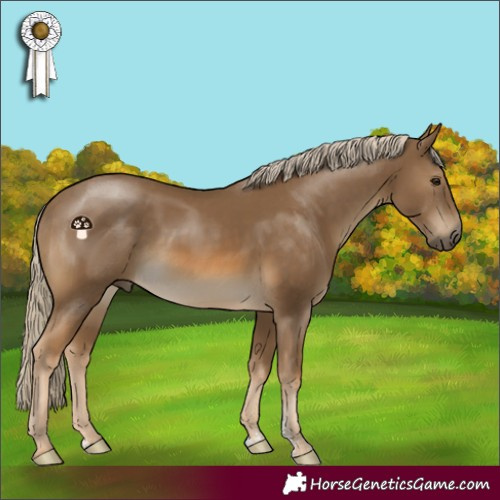 Horse Color:Chocolate Palomino Sabino 