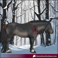 Horse Color:Black and Black