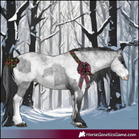 Horse Color:Blue Roan and White Spotted Black