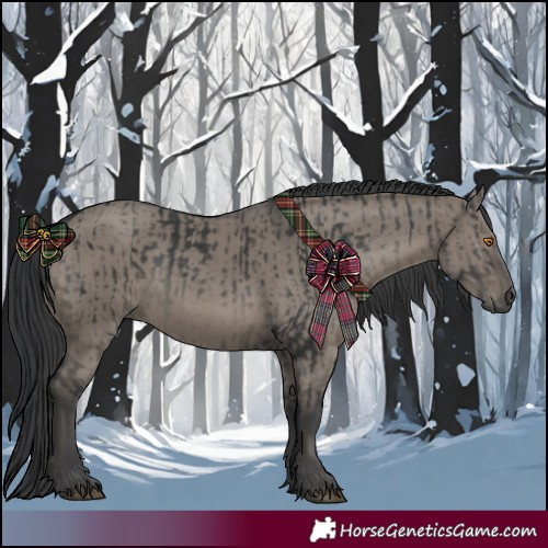Horse Color:Platinum Black  and Grullo 