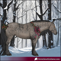 Horse Color:Platinum Black  and Grullo 