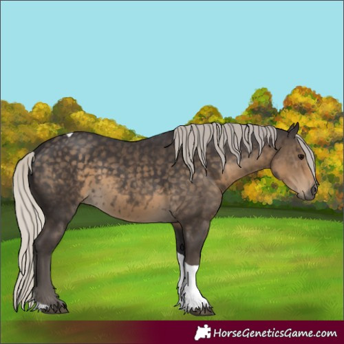 Horse Color:Silver Smoky Black Tobiano 