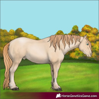 Horse Color:Black Snowdrop Pearl
