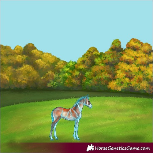 Horse Color:Thunderstruck Silver Brown Onyx 