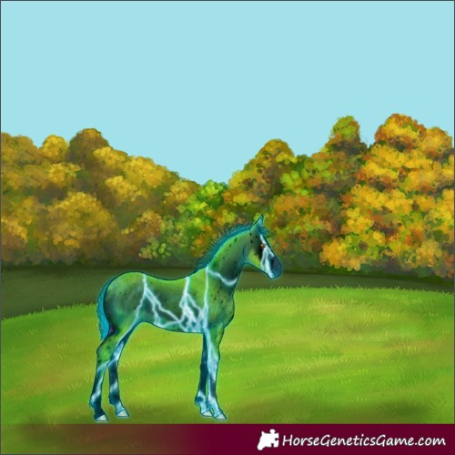 Horse Color:ERROR: UNKNOWN ANOMALY