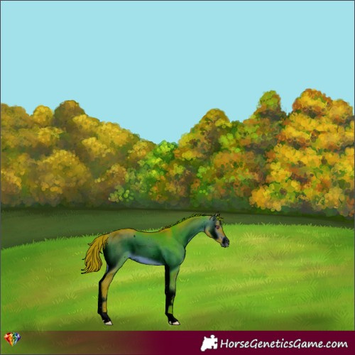 Horse Color:ERROR: UNKNOWN ANOMALY