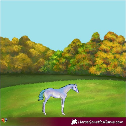 Horse Color:Watercolor Red Onyx 