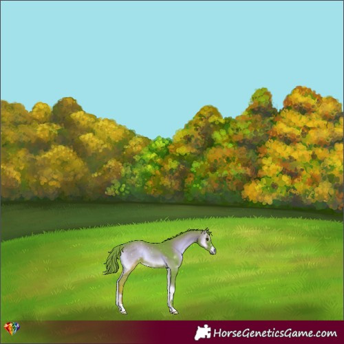 Horse Color:Watercolor Liver Red Onyx 