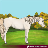 Horse Color:Black Snowdrop Pearl