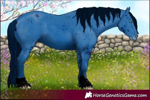 Horse Color:ERROR: UNKNOWN ANOMALY