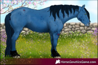 Horse Color:ERROR: UNKNOWN ANOMALY