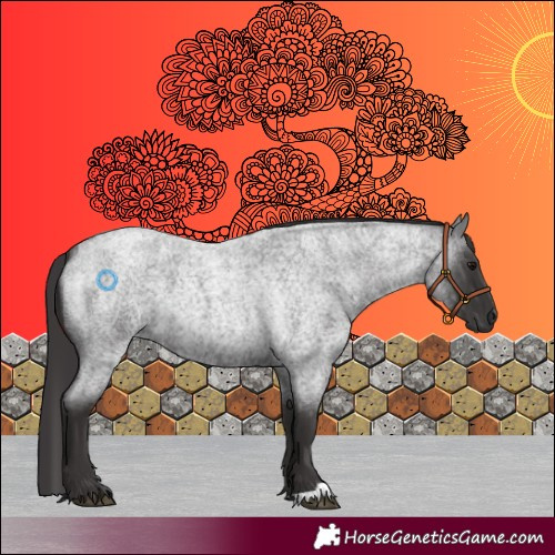 Horse Color:Smoky Blue Roan 