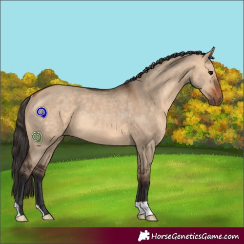 Horse Color:Bay Dun Rabicano 