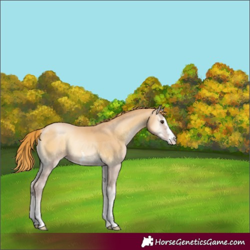 Horse Color:Red Onyx Pearl 