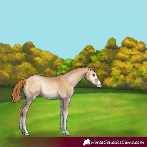 Horse Color:Red Onyx Pearl 